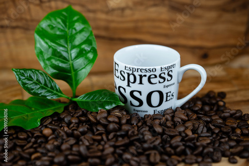 frisch geröstete Kaffeebohnen auf Olivenholz