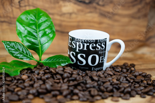 frisch geröstete Kaffeebohnen auf Olivenholz