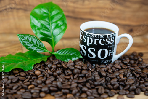 frisch geröstete Kaffeebohnen auf Olivenholz