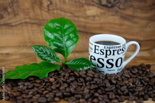 frisch geröstete Kaffeebohnen auf Olivenholz