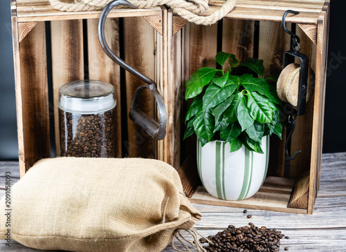frisch geröstete Kaffeebohnen auf Olivenholz