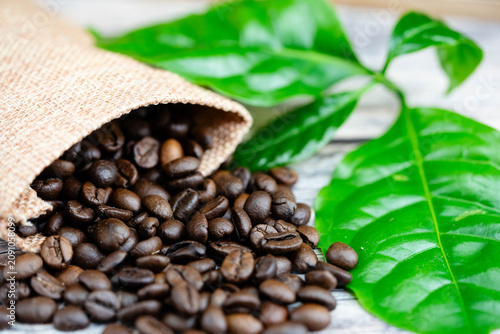 frisch geröstete Kaffeebohnen auf Olivenholz