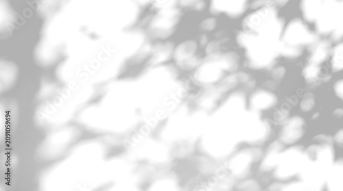 Soft blurred dappled sunlight canopy shadow overlay on a transparent background