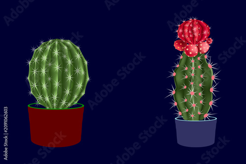 cactus in flowerpot