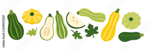 Fotografie Zucchini squash marrow vegetable set