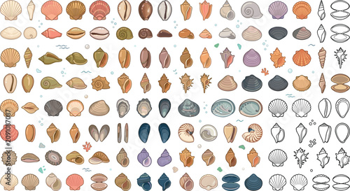 Bild auf Leinwand Marine Biology Seashells Mega Vector Element Set with Scallops Clams Conch Shell