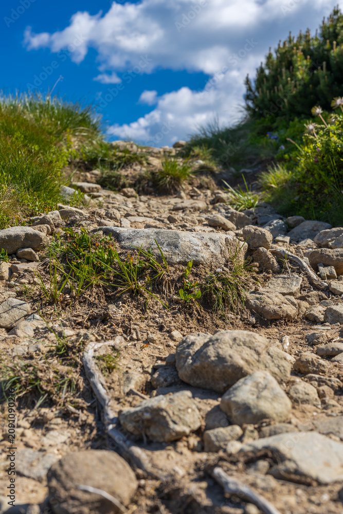Fototapeta premium Rocky mountain trail path on a grassy alpine slope under blue sky for outdoor background and hiking banner design