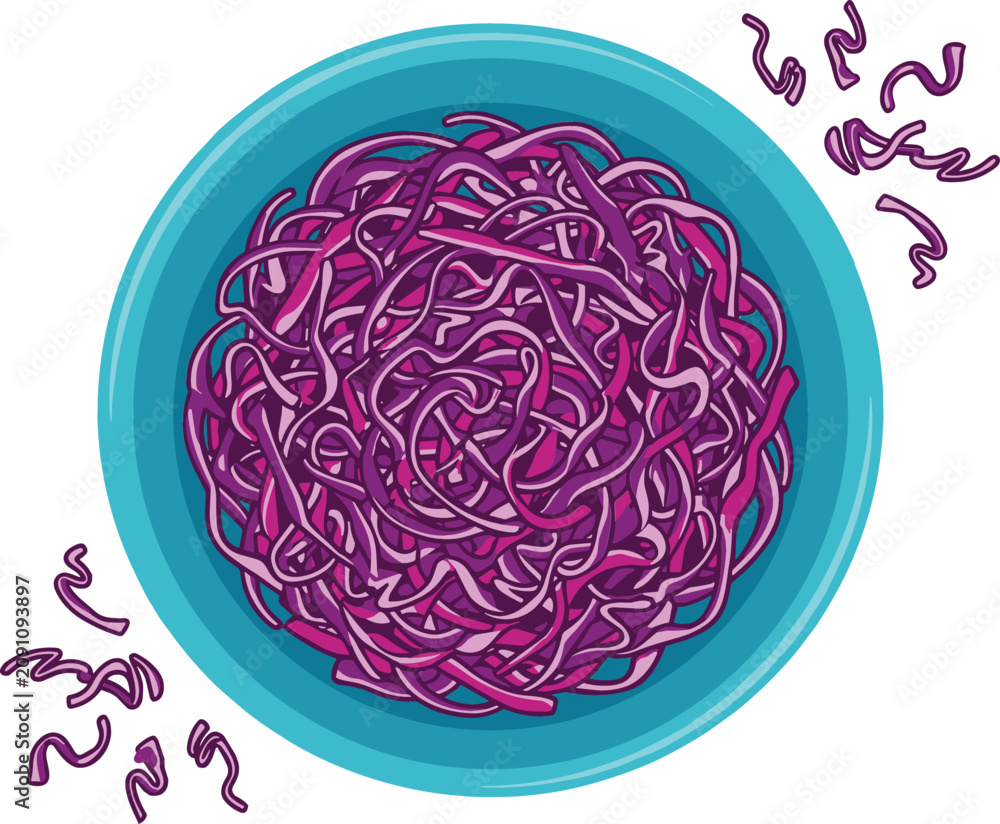Obraz premium Top view vector illustration of shredded red cabbage salad in blue bowl healthy side dish isolated on white background