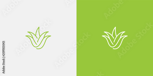Photos Aloe vera logo design with green background and white background.