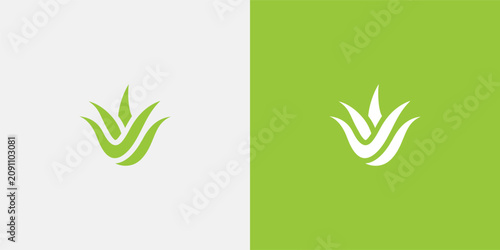 Canvas-taulu Aloe vera plant logo design on white and green background.