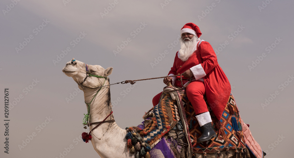 Fototapeta premium Humorous camel rider in full Santa Claus red suit riding a decorated dromedary under overcast desert sky bold multicultural holiday concept