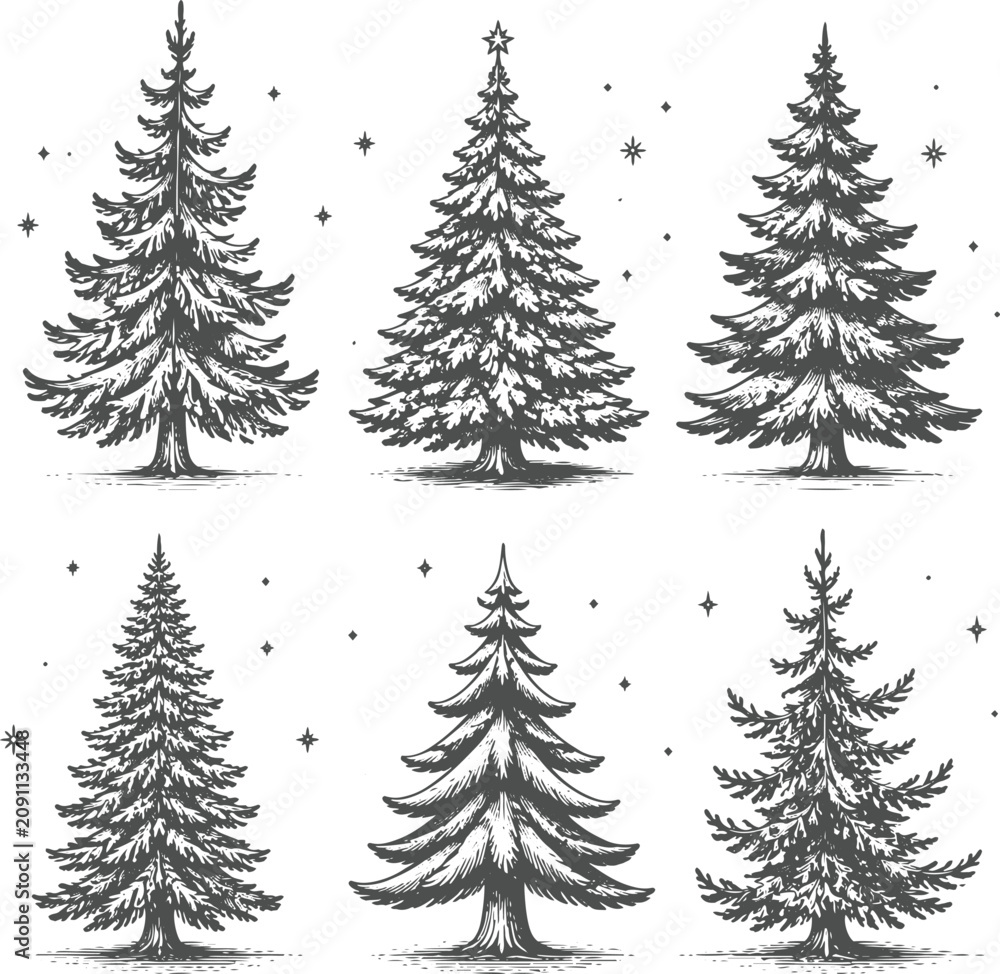 Obraz premium Vintage Christmas Pine Tree Set Engraving Vector – Hand Drawn Evergreen Fir Collection in Retro Woodcut Style