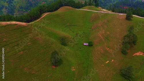Drone View of green Sheep farm in Chitlang , Bheda Farm