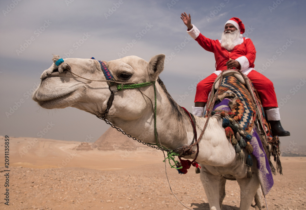 Fototapeta premium Festive Santa Claus riding a white camel and waving cheerfully with ancient Giza Pyramids rising through desert haze in background ideal for global