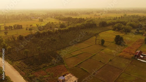 Tea Garden Hedge Bordering Farmland Plots in Nepal	