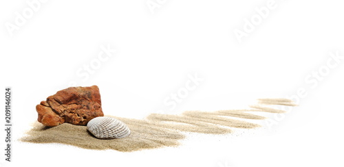 Photography Sea shells in sand pile isolated on white background, top view