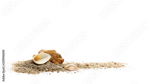 Photography Sea shells in sand pile isolated on white background, top view