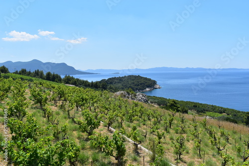 croatia - costline