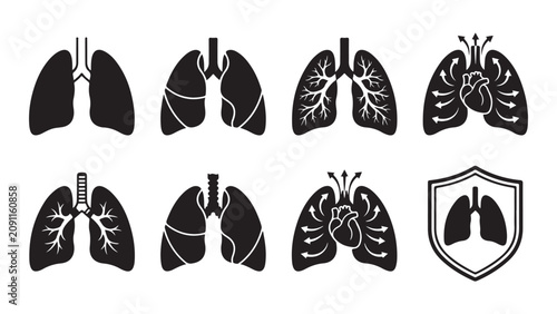 Foto Solid Icons of Lungs and Heart Anatomy with Breathing Process and Lung Protectio