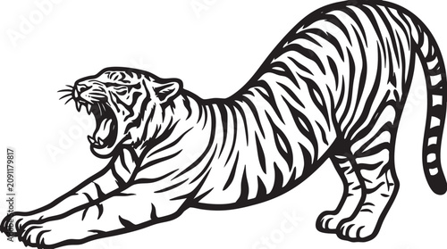 Fotografie Fierce tiger, roaring animal, black and white vector, illustration, wildlife cre