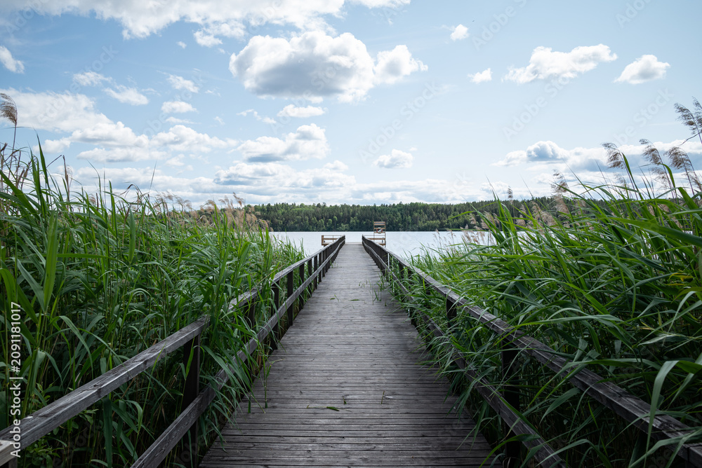 Obraz premium Wooden Boardwalk Leading Through Tall Reeds to a Lakeside Viewpoint Under a Swedish Summer Sky