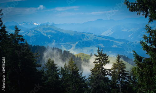 Bild auf Leinwand Atmospheric mountain scenery with mist drifting through tall evergreen trees and soft blue mountain layers in the distance