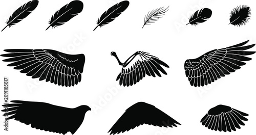 Foto Set of black silhouette bird wings and various feathers isolated on white backgr