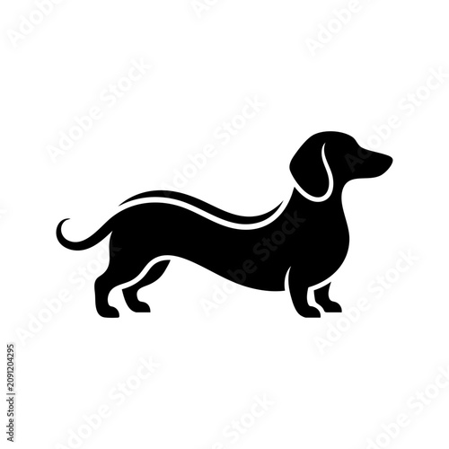 Foto A standing dachshund dog silhouette illustration with a long body and floppy ear