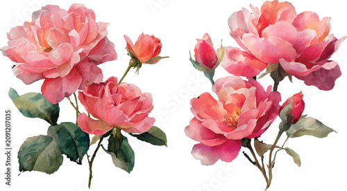 bouquet of roses