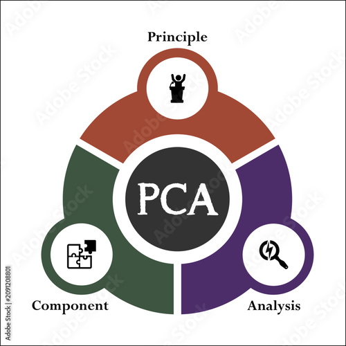 PCA - Principle component Analysis acronym. Infographic template with icons and description placeholder