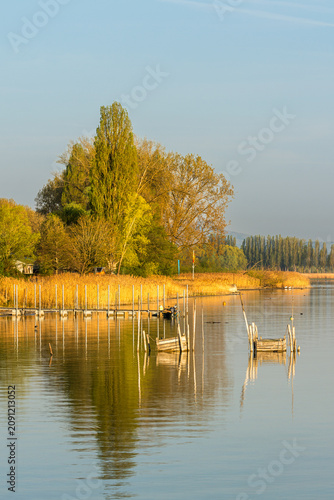 Shoreline of Lake Constance with fish traps, Iznang, Hoeri Peninsula, Germany