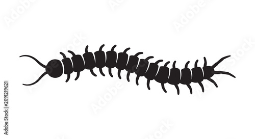 Foto Centipede Silhouette In Black And White Minimalist Design Silhouette