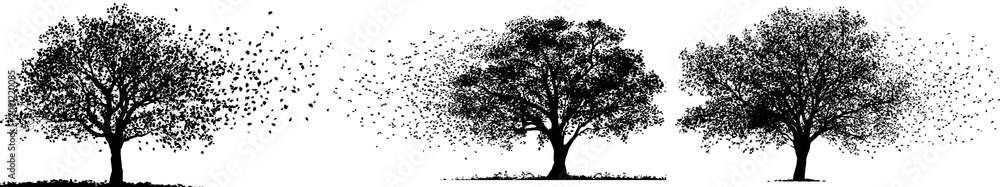 Fototapeta premium Black silhouette trees with leaves blowing in the wind isolated on transparent background
