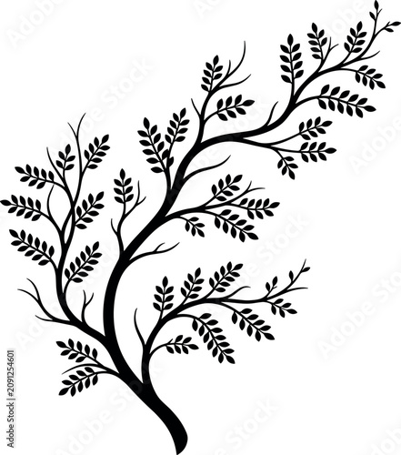 Photos Decorative tree branch silhouette with curved twigs and detailed pinnate leaves