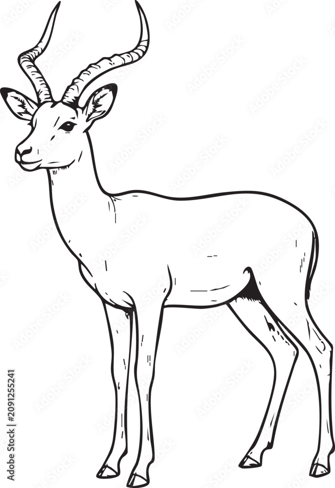 Fototapeta premium Antelope Vector Illustration - Black and White Safari Animal Line Art - Transparent Background - Horned Wildlife EPS - Hand Drawn Outline - Stock SVG Design - Animal Icon