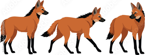 Foto Maned Wolf Vector Illustration Set Featuring Exotic South American Canid with Lo
