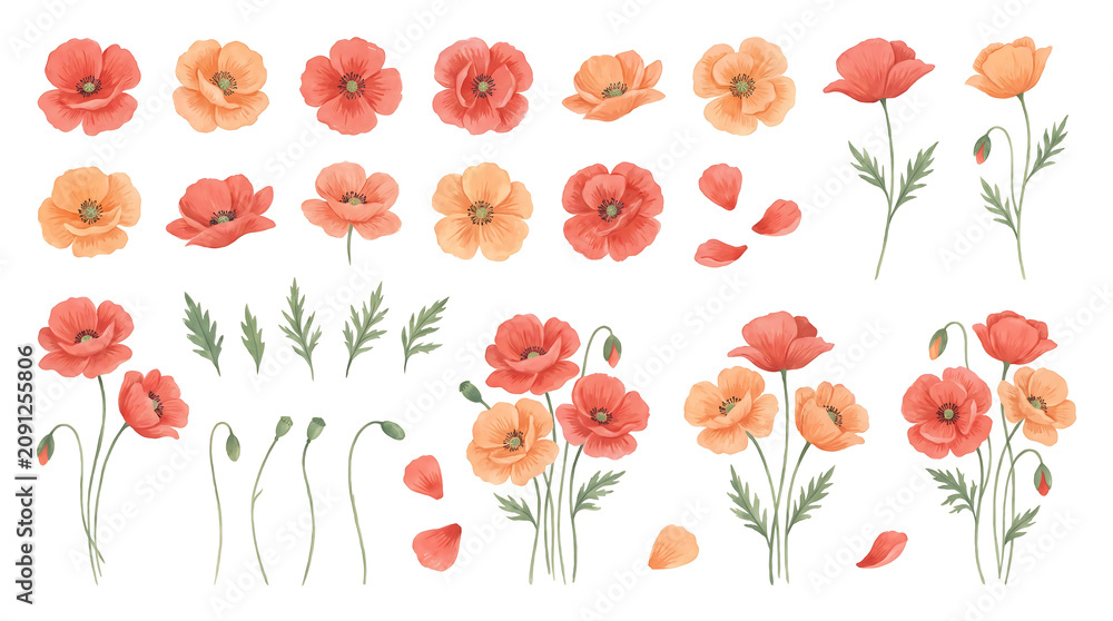 Obraz premium Watercolor Red and Orange Poppy Flower Botanical Sheet Set with Buds and Leaves for Design