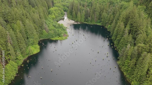 Drone Shot of a Mystical Forest Lake with Tree Stumps in British Columbia, Canada
