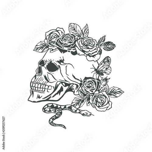 Fotografie Human skull adorned with roses and a slithering snake