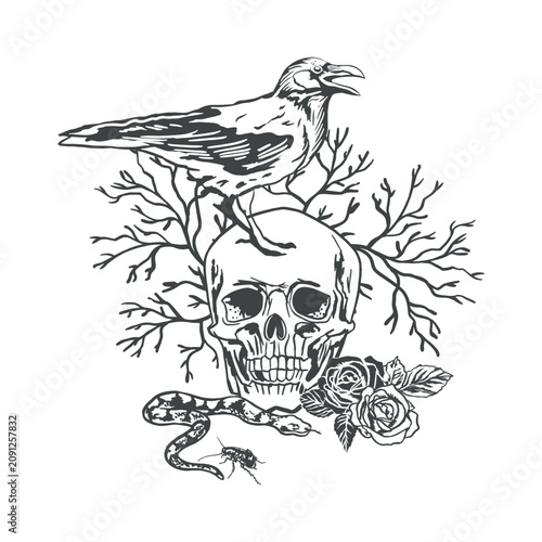 Obraz na plátně Crow standing on a human skull, a crawling snake, roses and tree branches