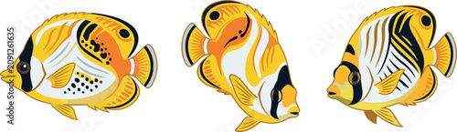 Photography Butterfly Fish Vector Illustration Set Featuring Yellow Tropical Marine Animals