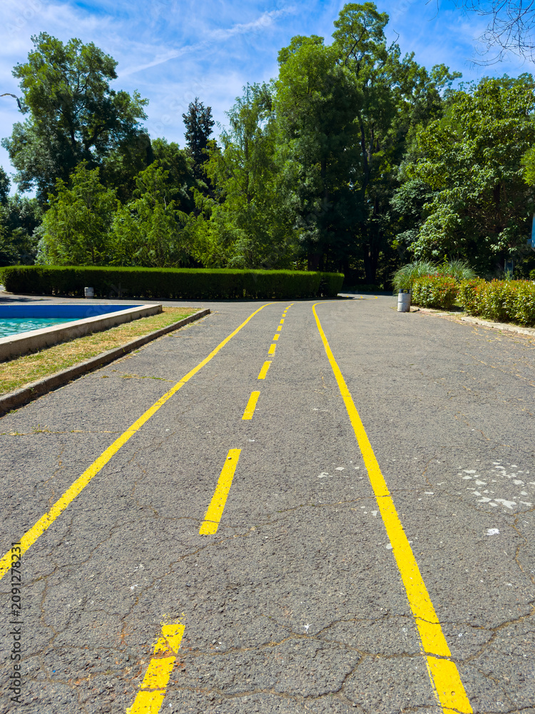 Obraz premium Path with yellow lines next to a pool and trees on a sunny day in a park area