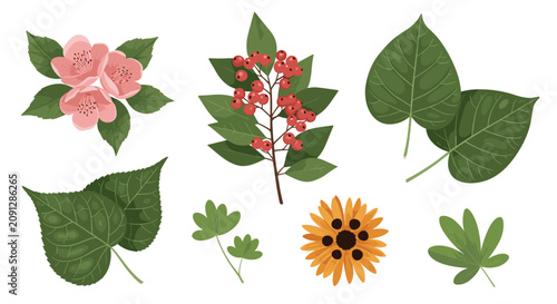 Assortment of botanical elements featuring various green leaves, flowers, and red berries in a natural collection.