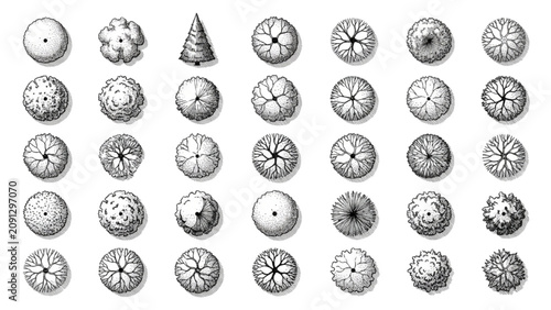 Top View Tree CAD Blocks and Landscape Symbols Vector Set, Architectural Plan Collection