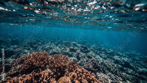 Coral Reef Scene Underwater With Sunlight Shining Through in Clear Blue Water
