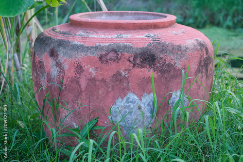 vase on grass