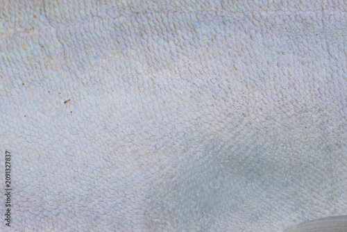 blue fabric texture