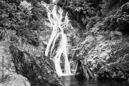 Tableau sur toile Carew Falls in the Lake Brunner Mitchells Scenic Reserve on the South Island of