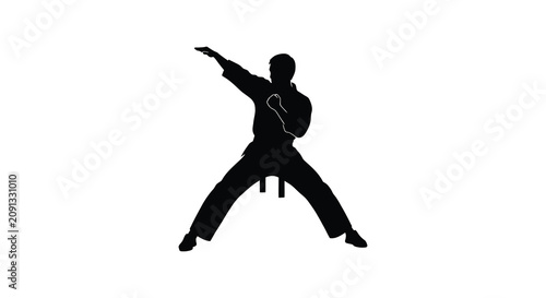 Martial artist silhouette against a white background dynamic pose in black
