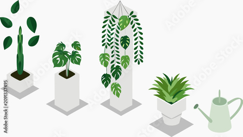 Four plants in white pots with a watering can on a plain surface indoors